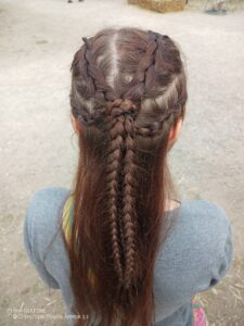 Skjoldmoeens-fletninger-005